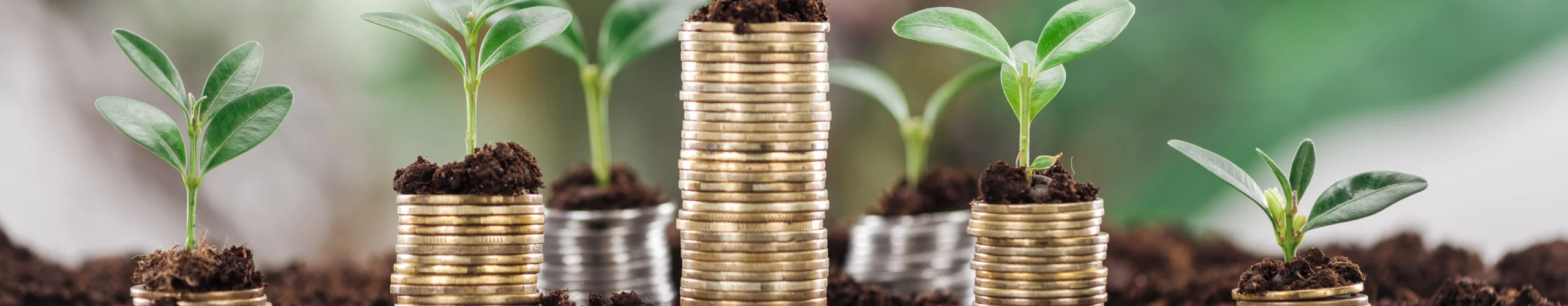 Grøn økonomisk vækst